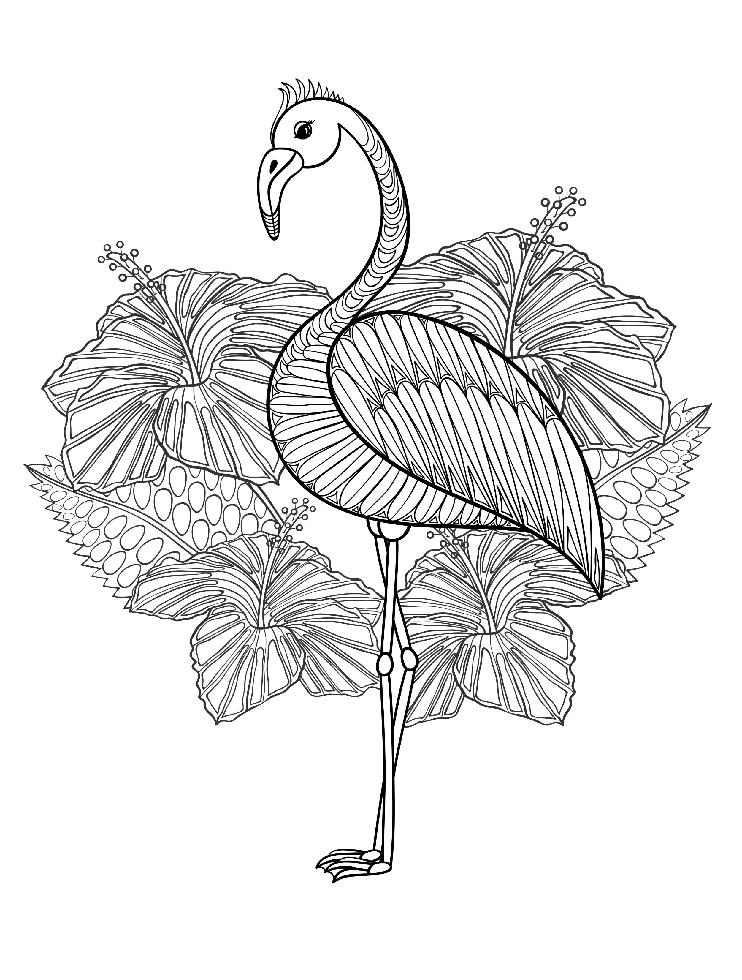 55 Flamingo Printable Coloring Pages 50