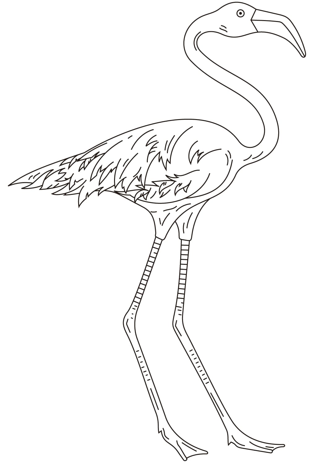 55 Flamingo Printable Coloring Pages 54