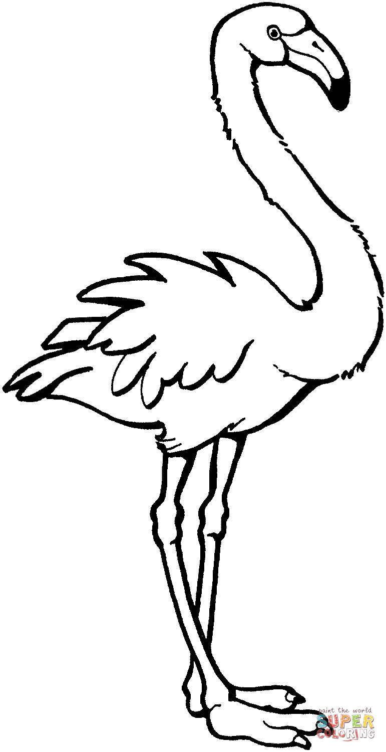 55 Flamingo Printable Coloring Pages 62