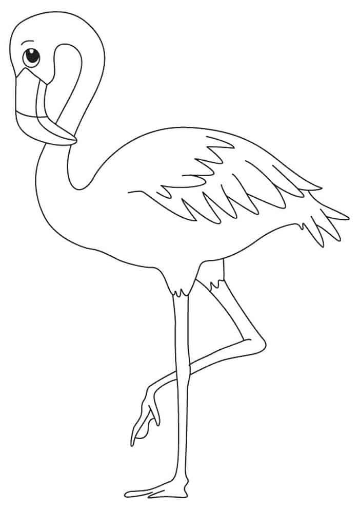 55 Flamingo Printable Coloring Pages 63