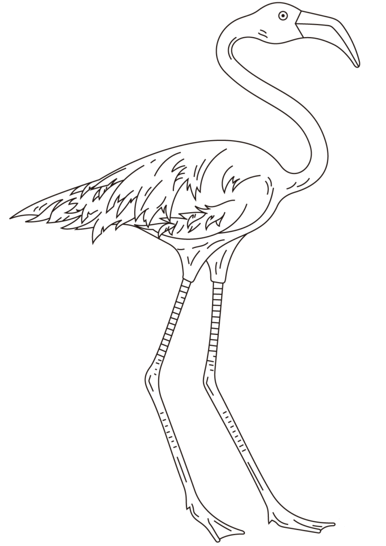 55 Flamingo Printable Coloring Pages 64