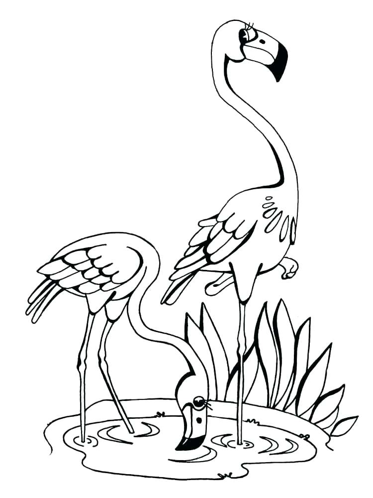 55 Flamingo Printable Coloring Pages 65