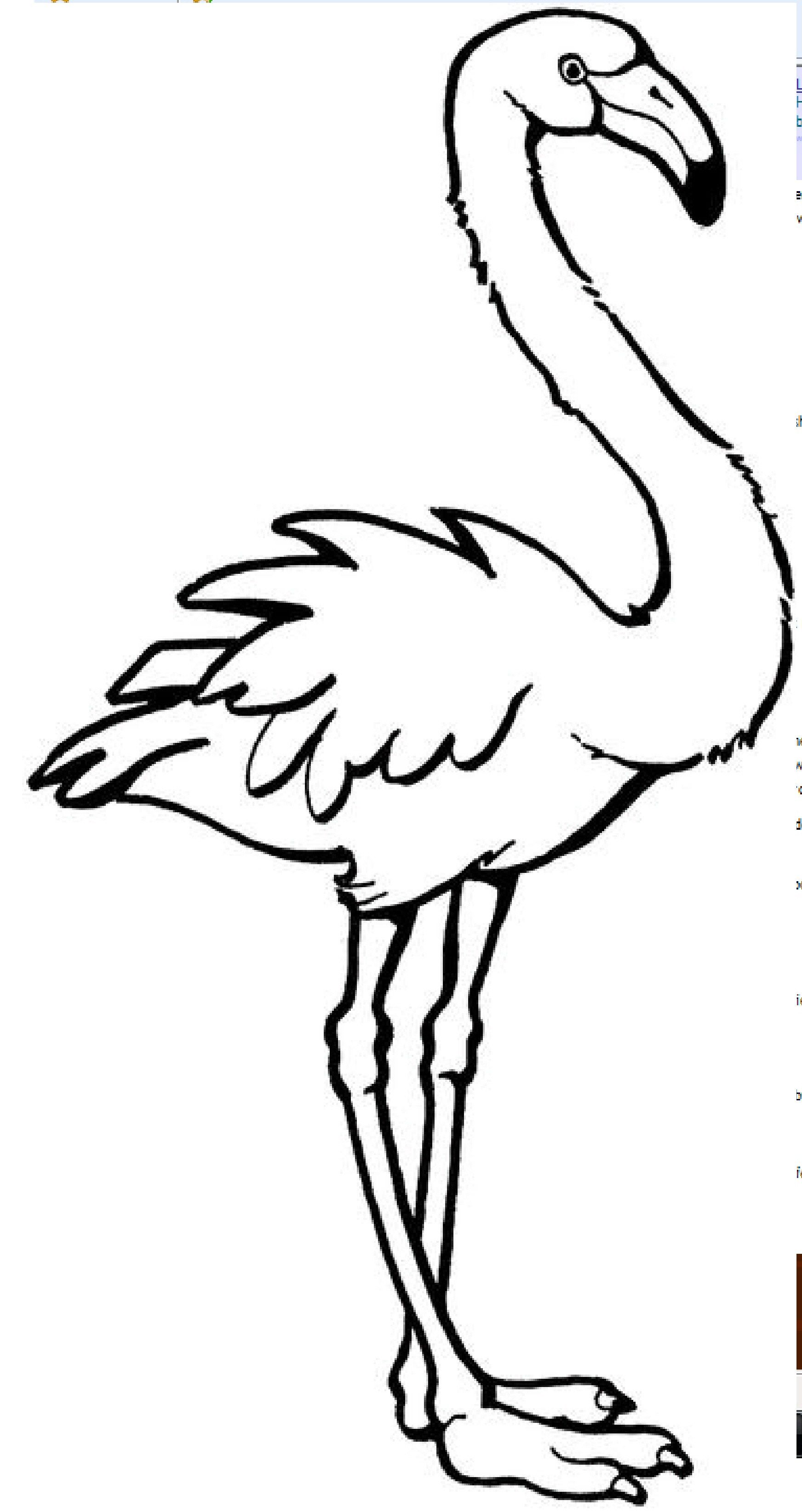 55 Flamingo Printable Coloring Pages 67