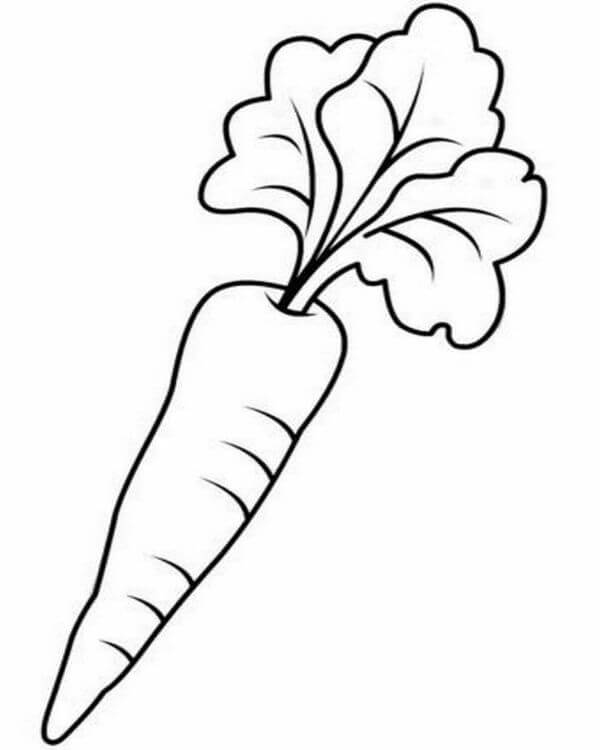 55 Vegetable Coloring Pages For Preschoolers 107