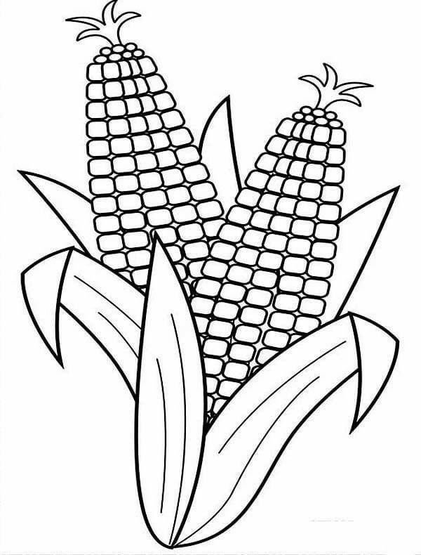 55 Vegetable Coloring Pages For Preschoolers 11