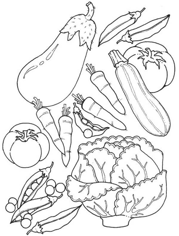 55 Vegetable Coloring Pages For Preschoolers 13