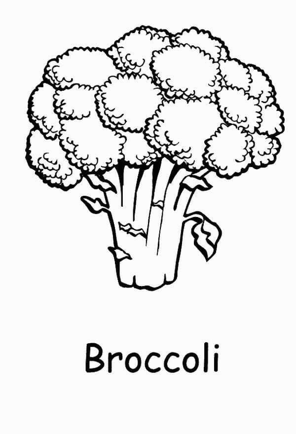 55 Vegetable Coloring Pages For Preschoolers 36