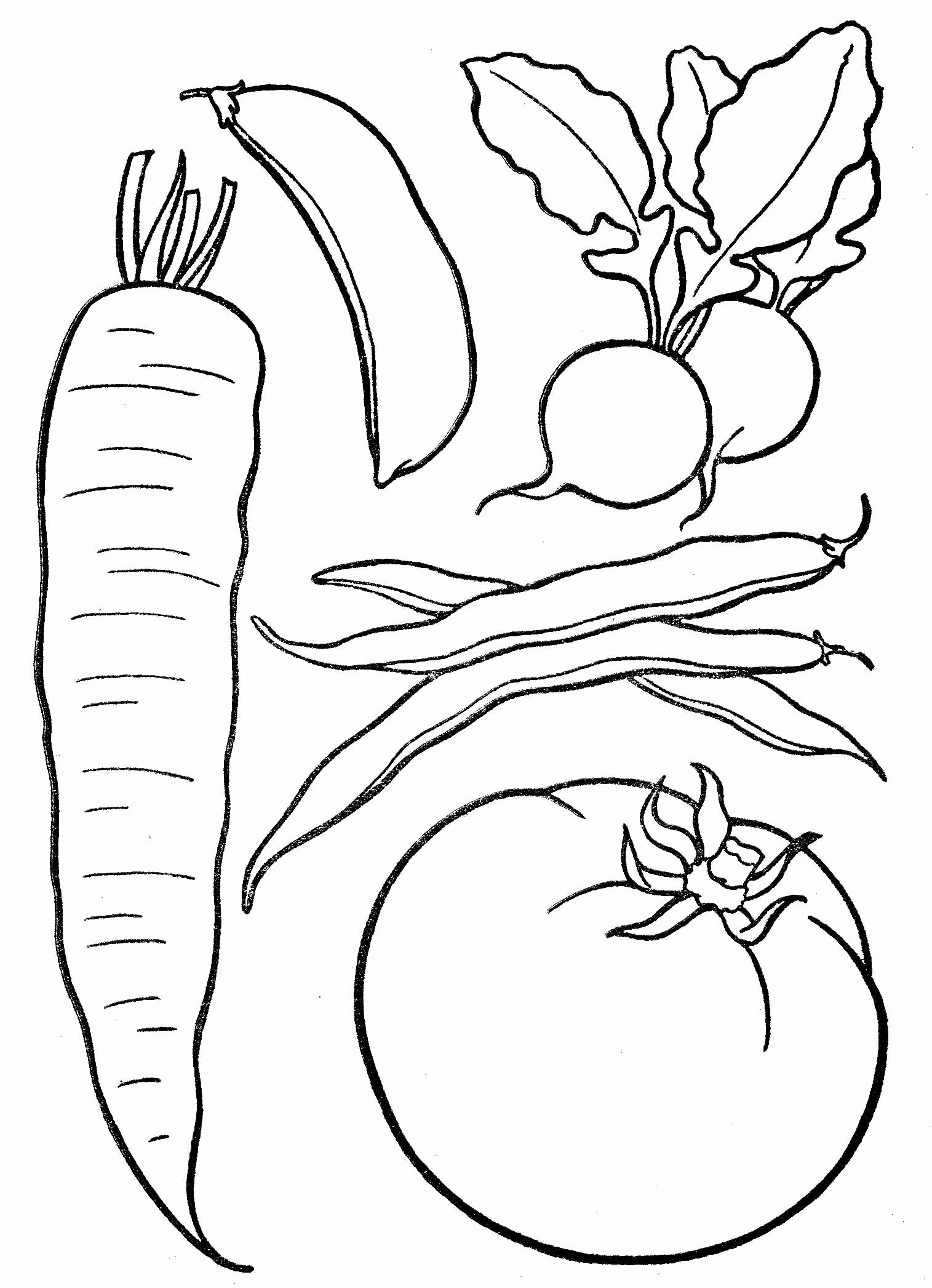 55 Vegetable Coloring Pages For Preschoolers 5