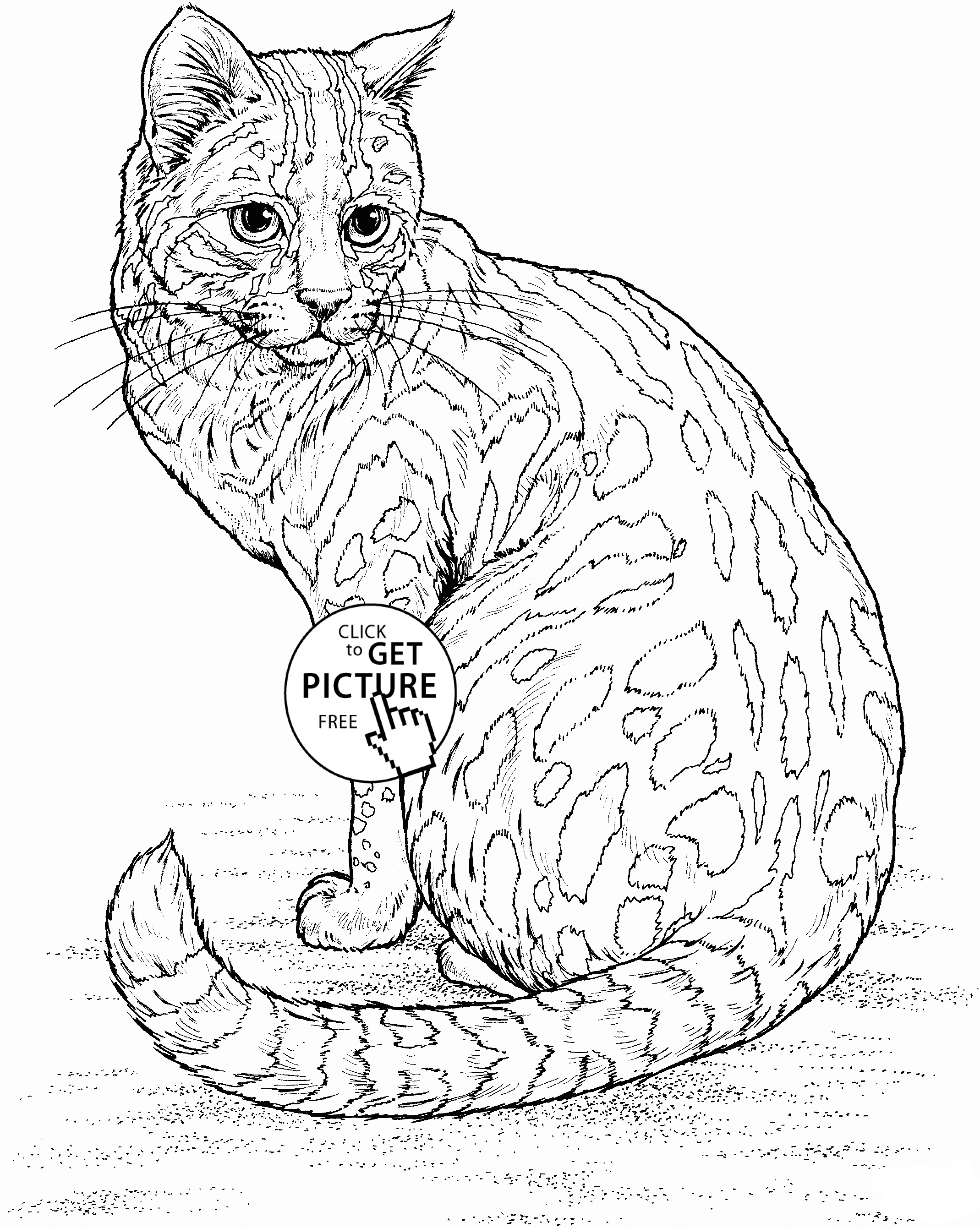 60 Printable Adult Coloring Pages Cats 20