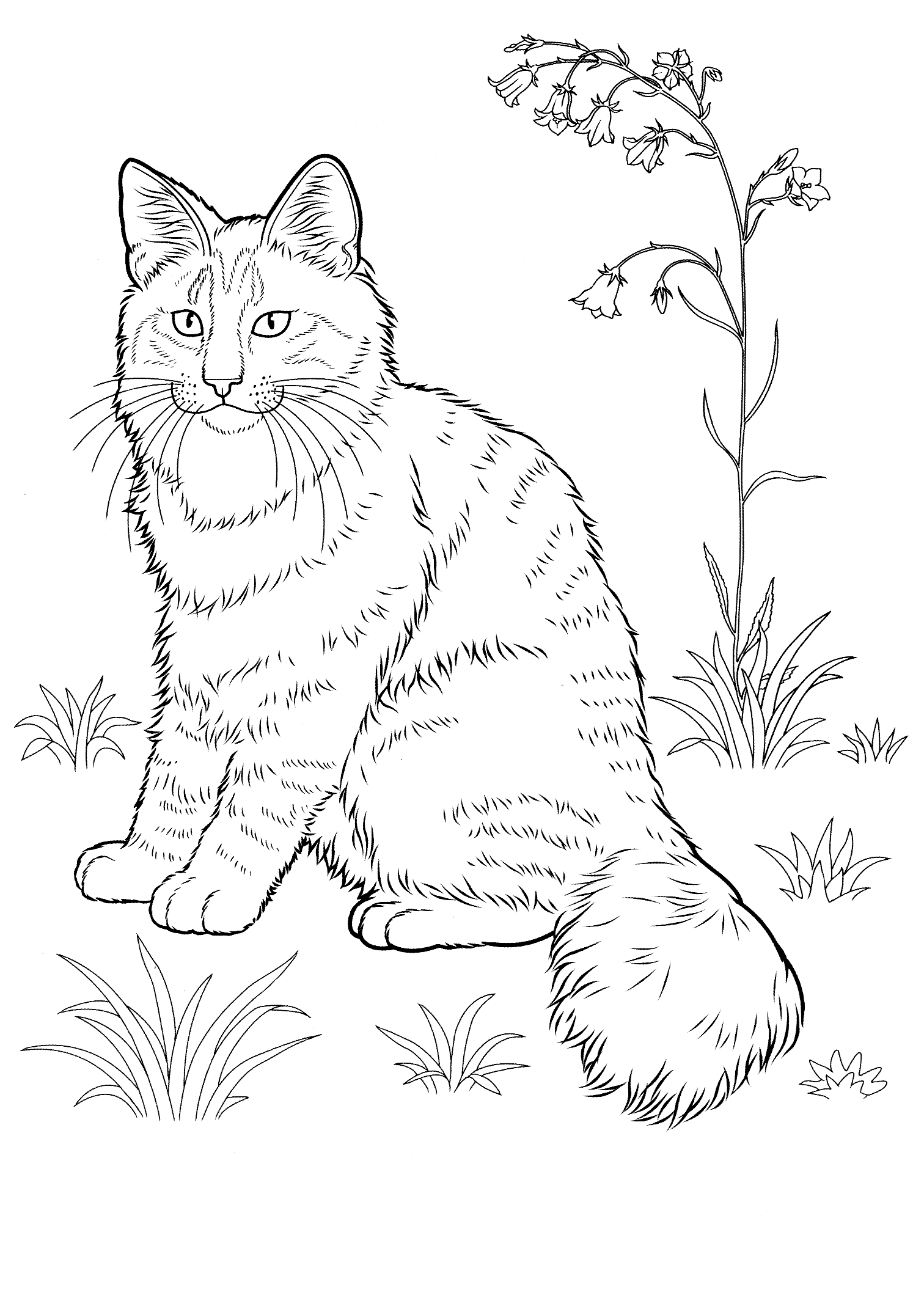 60 Printable Adult Coloring Pages Cats 24