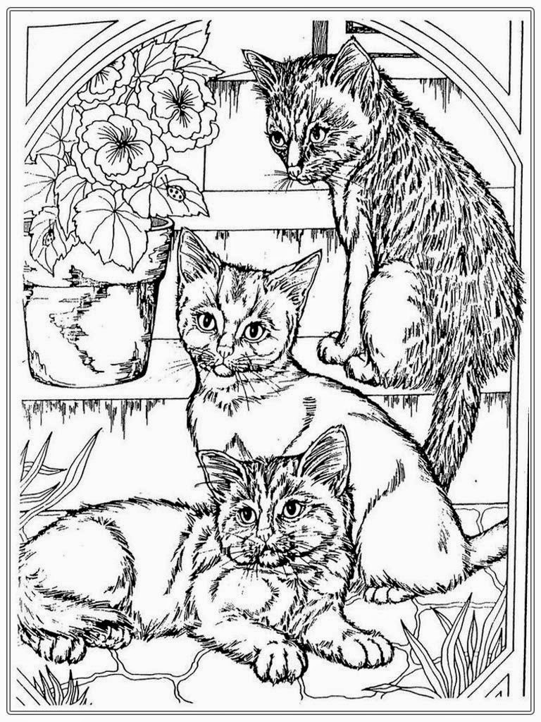 60 Printable Adult Coloring Pages Cats 49