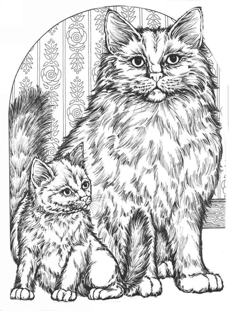 60 Printable Adult Coloring Pages Cats 51