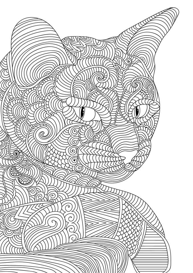 60 Printable Adult Coloring Pages Cats 54