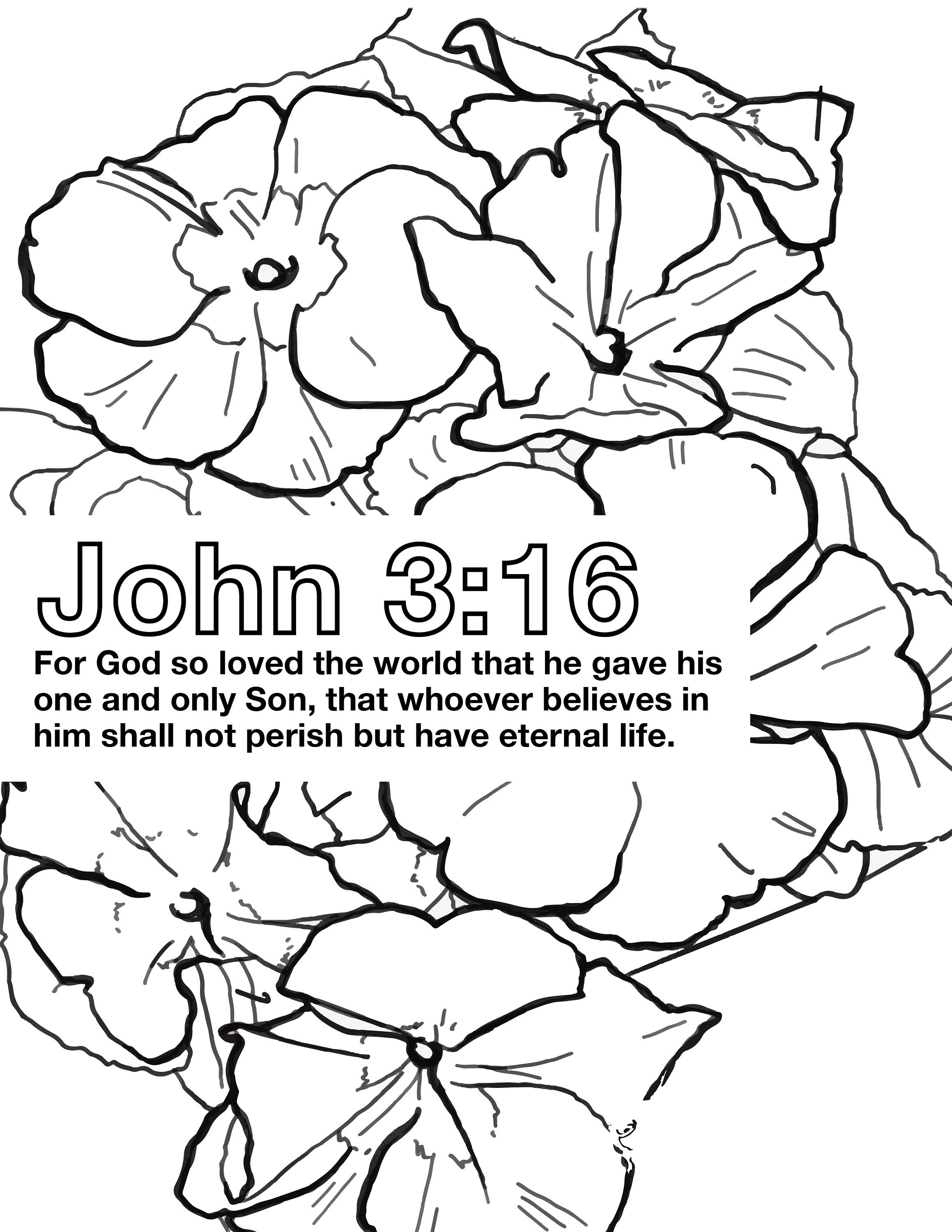 60 Printable John 3:16 Coloring Page 25