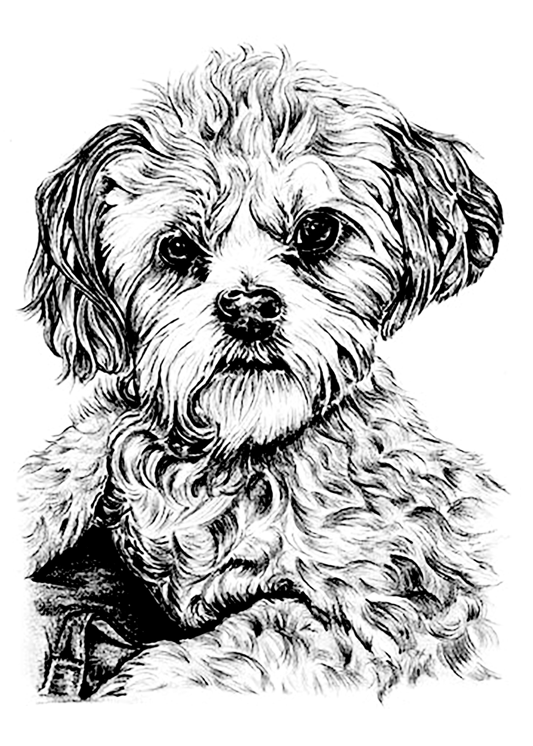 60 Printable Puppy Dog Coloring Sheets 15