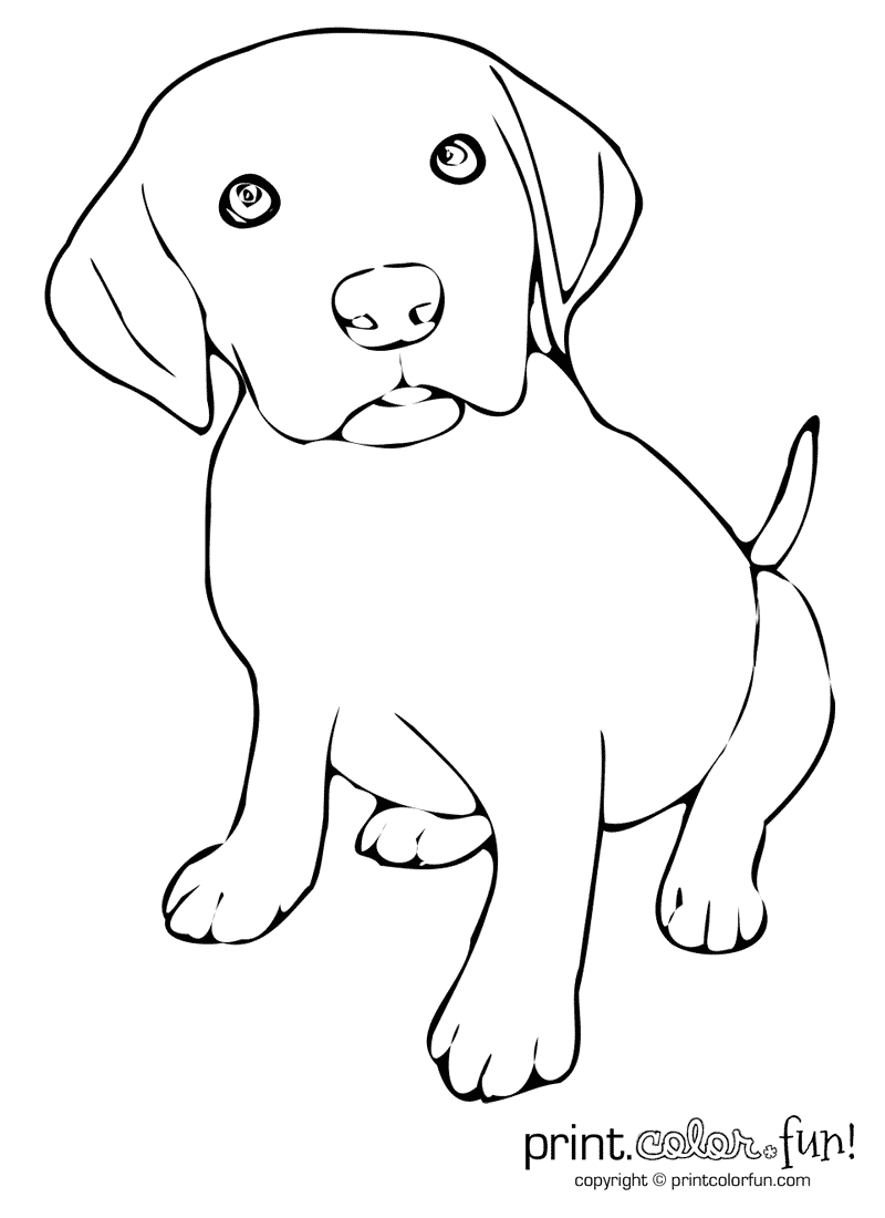 60 Printable Puppy Dog Coloring Sheets 19