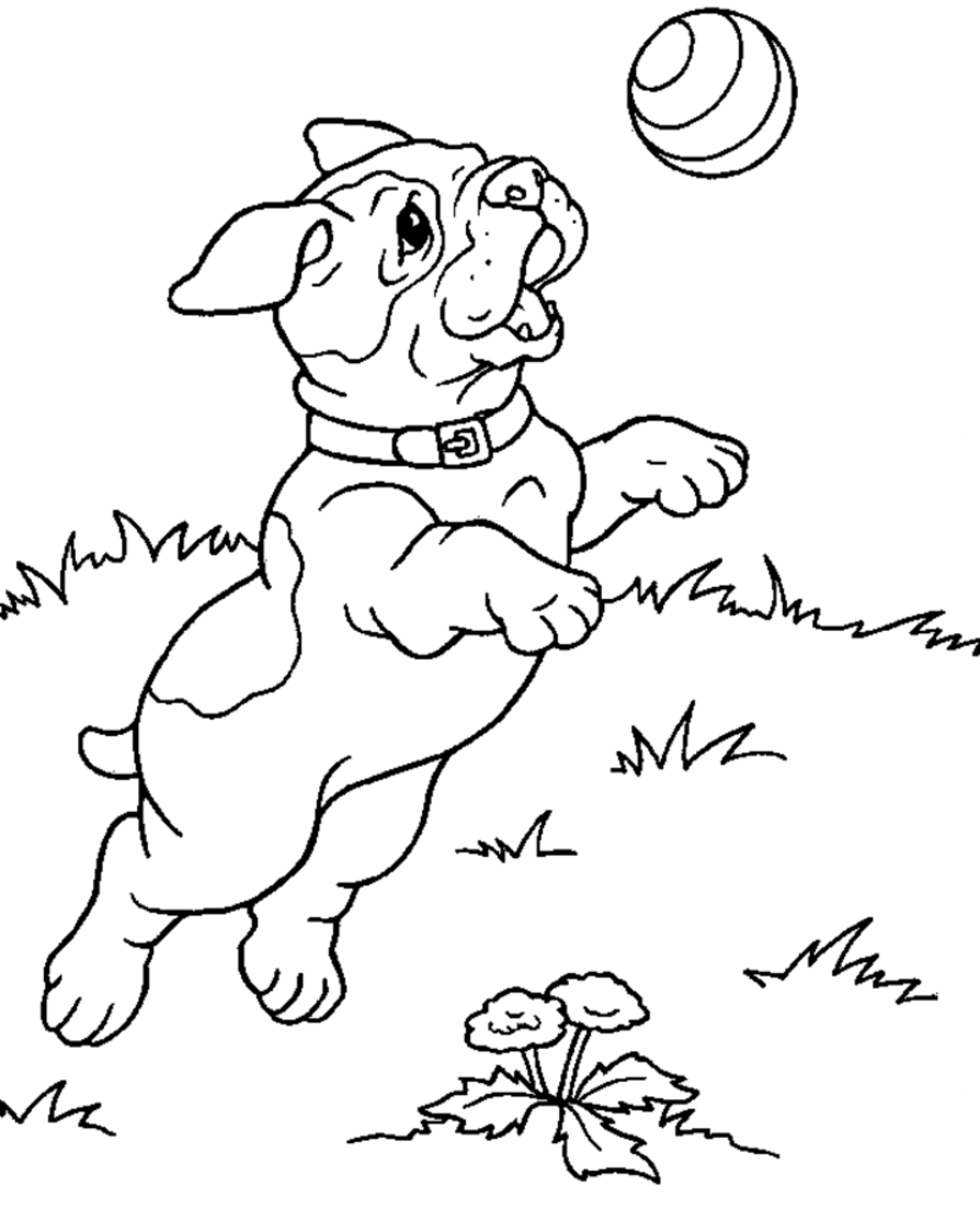 60 Printable Puppy Dog Coloring Sheets 42