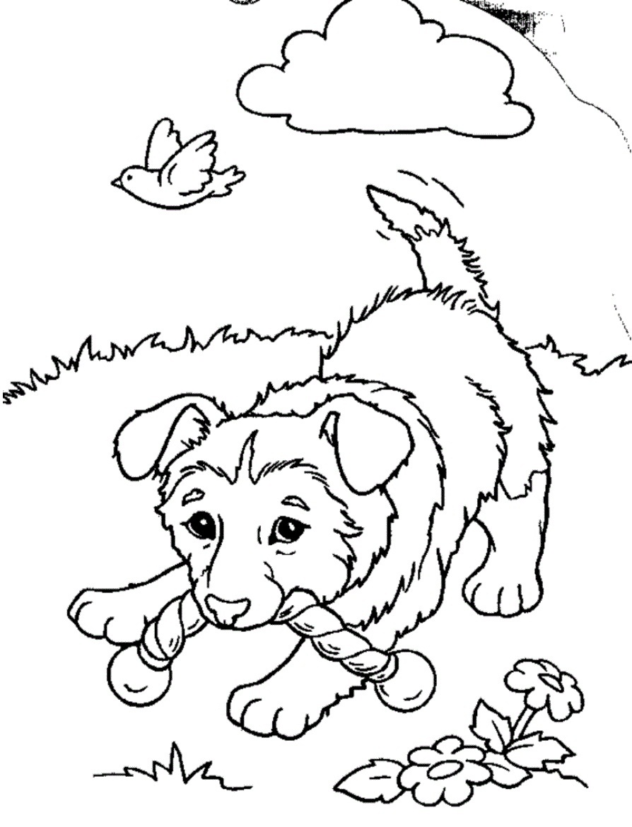 60 Printable Puppy Dog Coloring Sheets 50