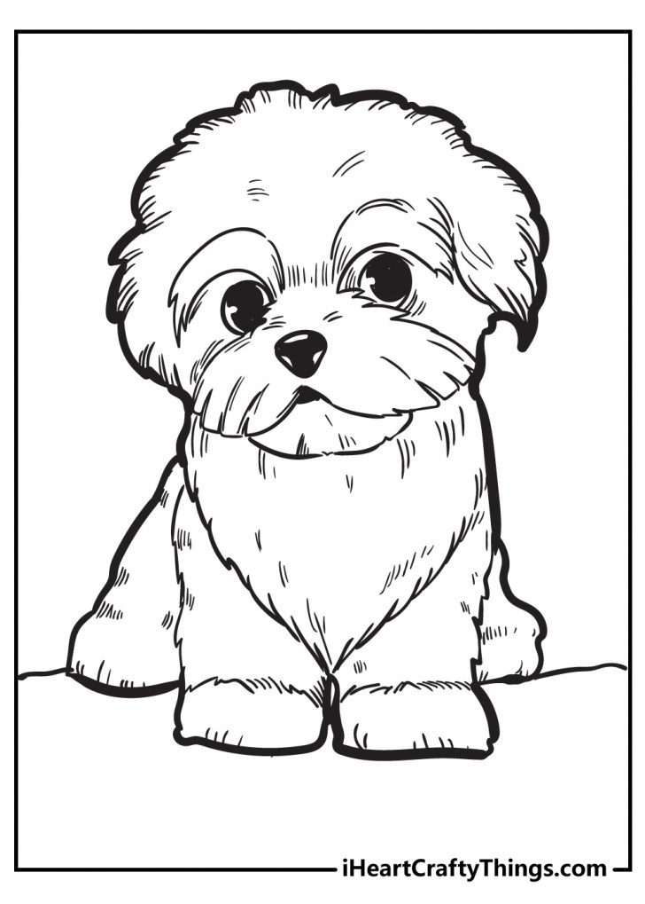 60 Printable Puppy Dog Coloring Sheets 51