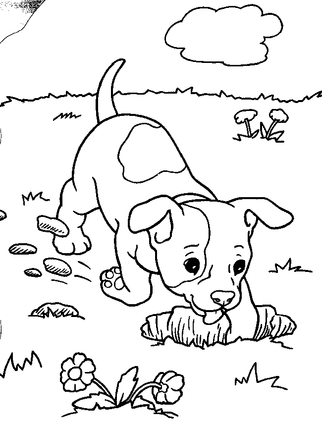 60 Printable Puppy Dog Coloring Sheets 7