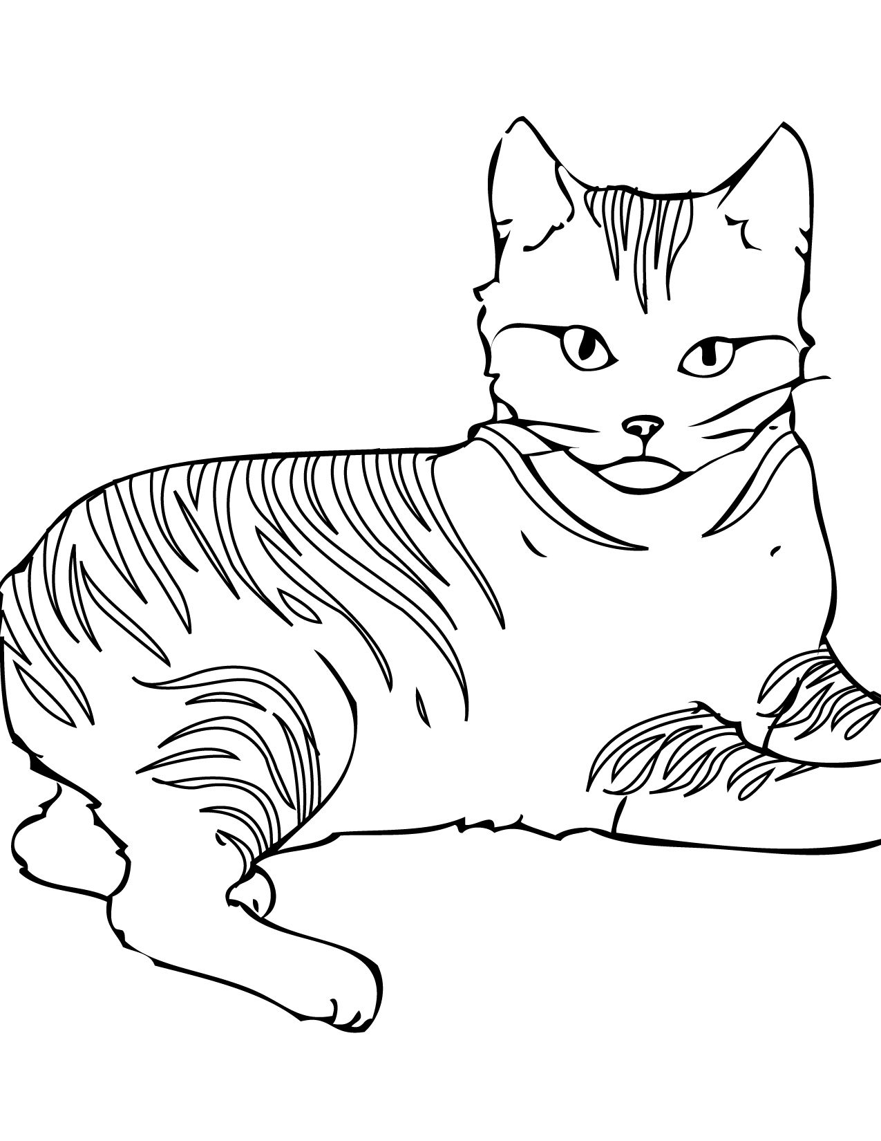 60 Printable Tabby Cat Coloring Page 1