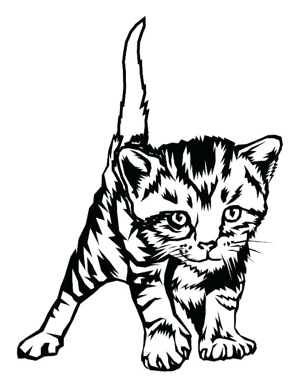 60 Printable Tabby Cat Coloring Page 12