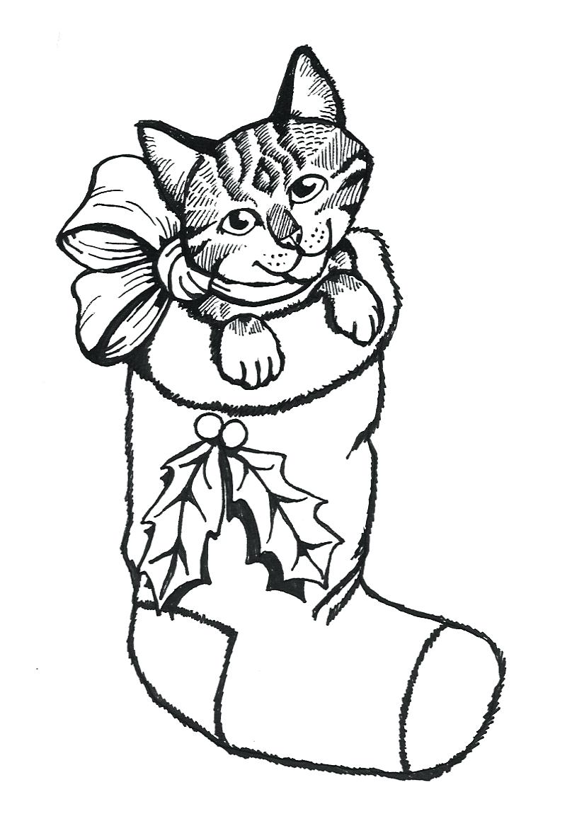 60 Printable Tabby Cat Coloring Page 14