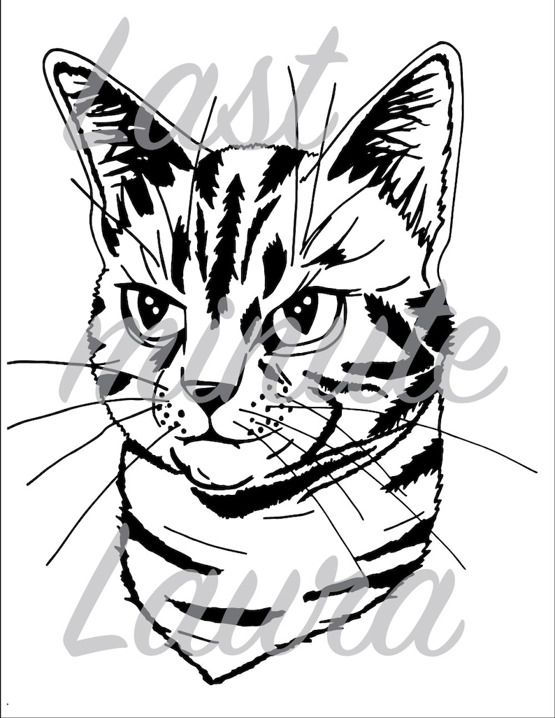 60 Printable Tabby Cat Coloring Page 15