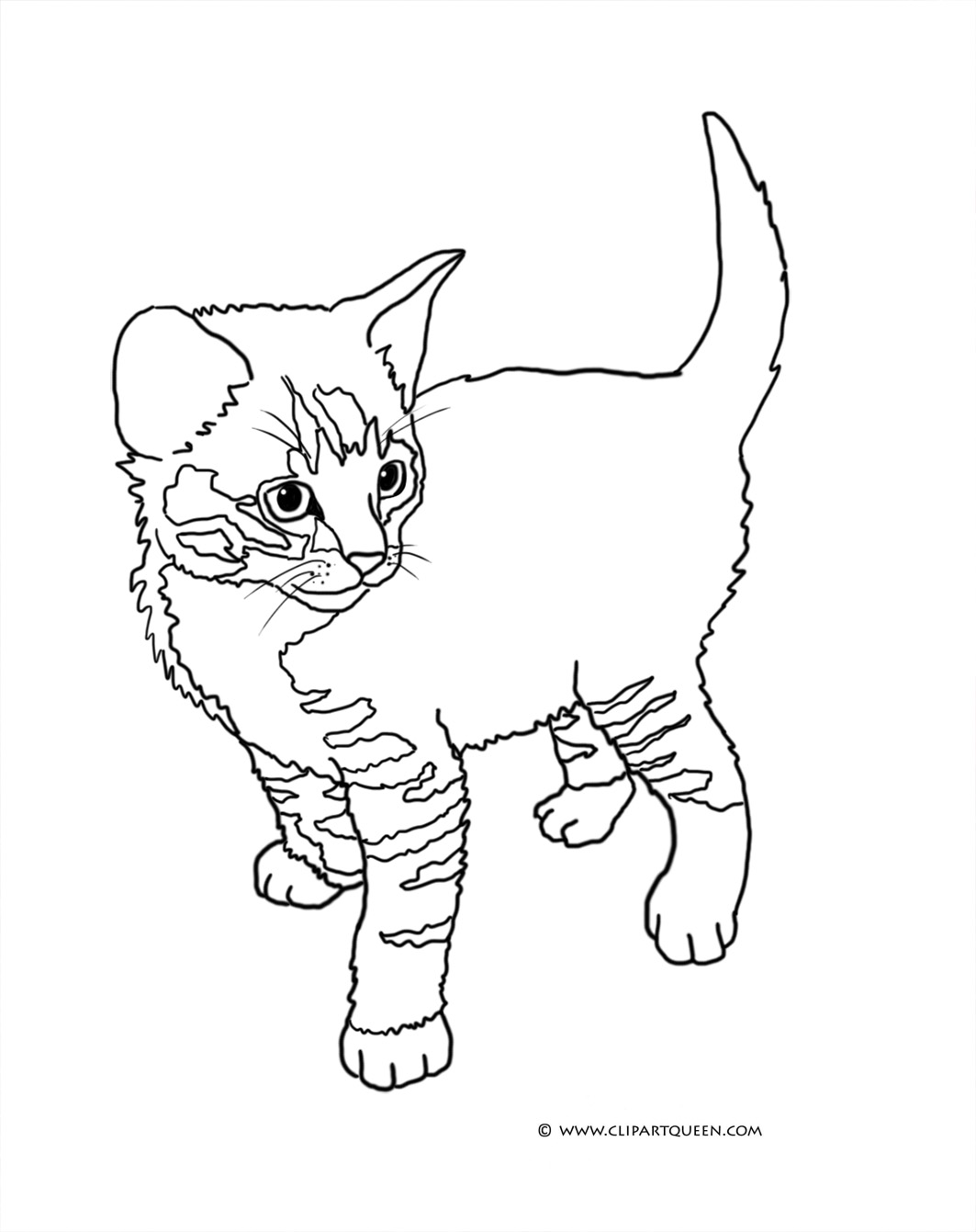 60 Printable Tabby Cat Coloring Page 17