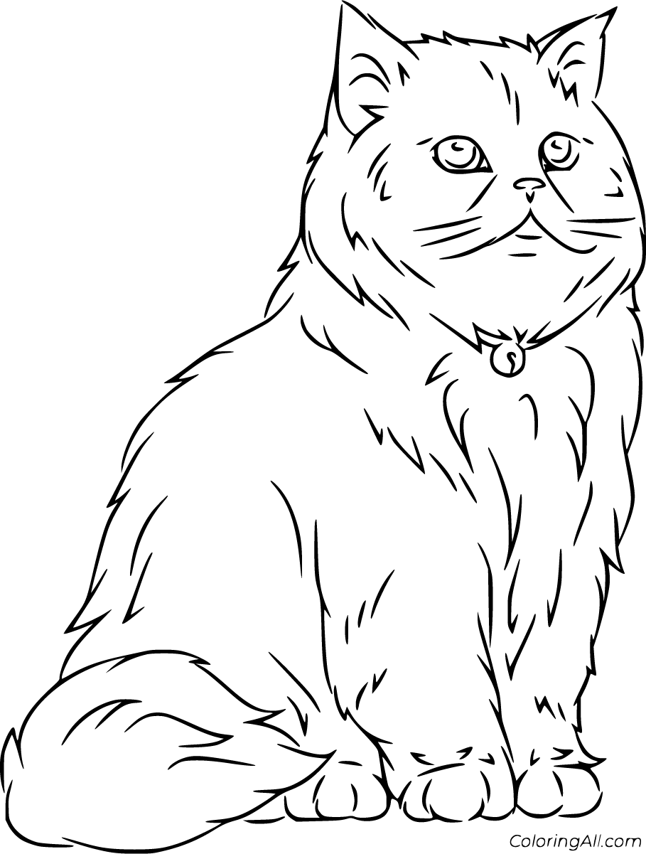 60 Printable Tabby Cat Coloring Page 18