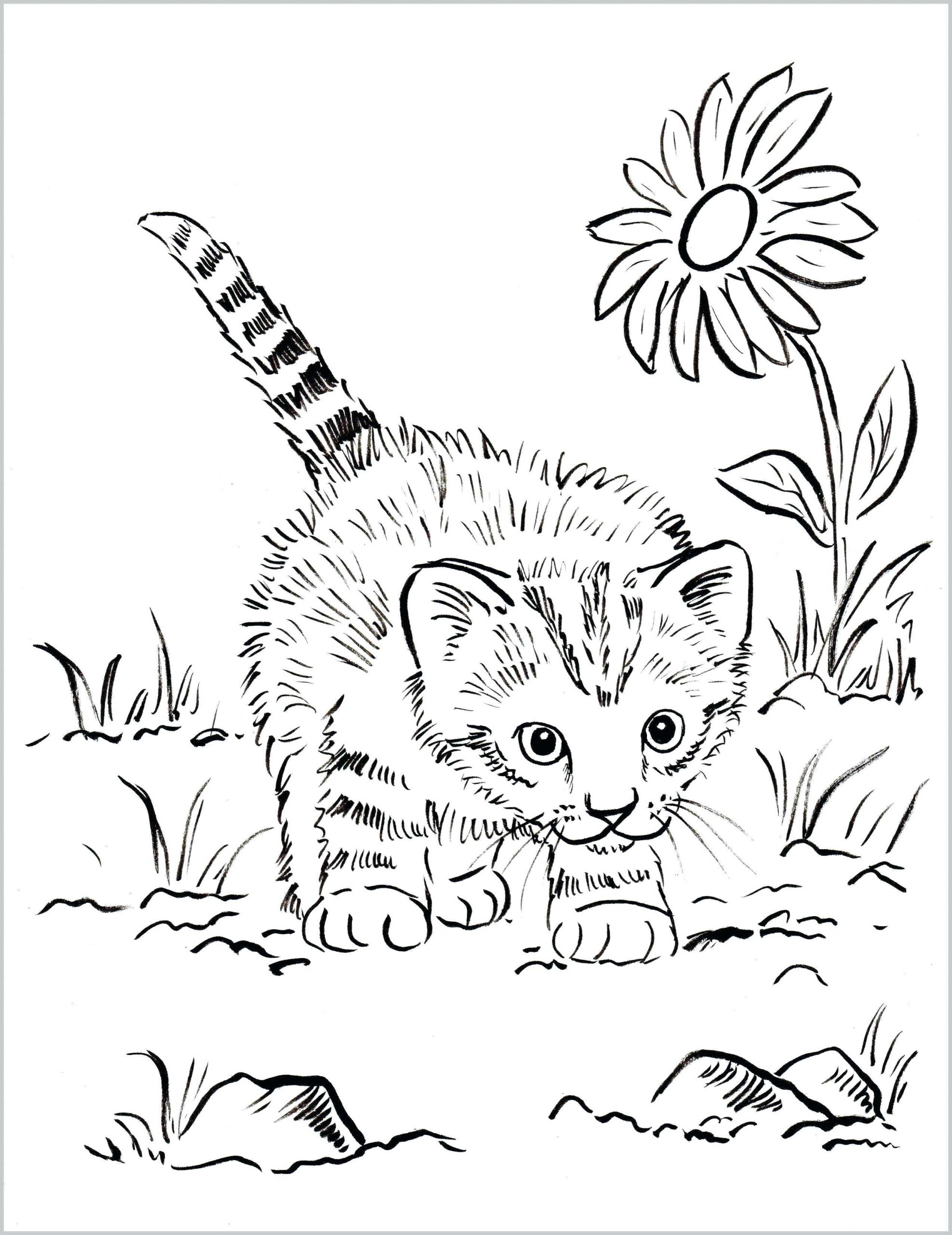 60 Printable Tabby Cat Coloring Page 19