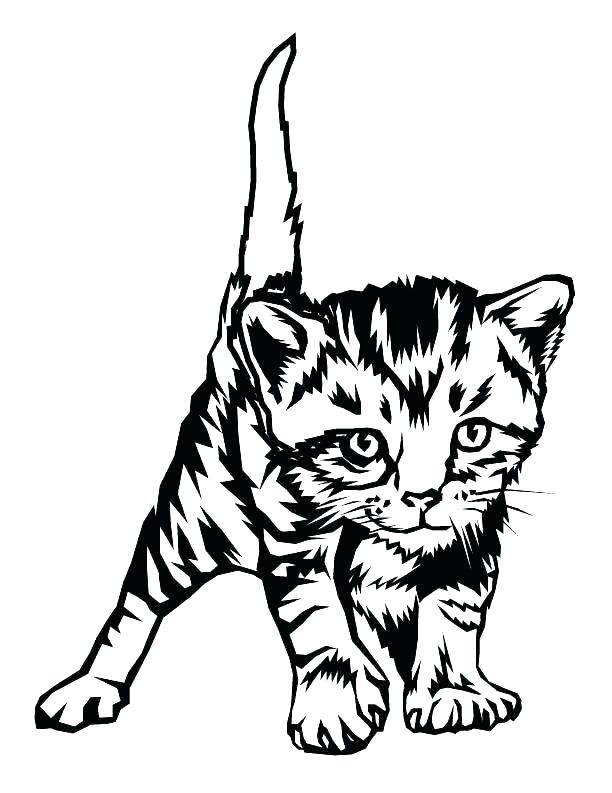 60 Printable Tabby Cat Coloring Page 2