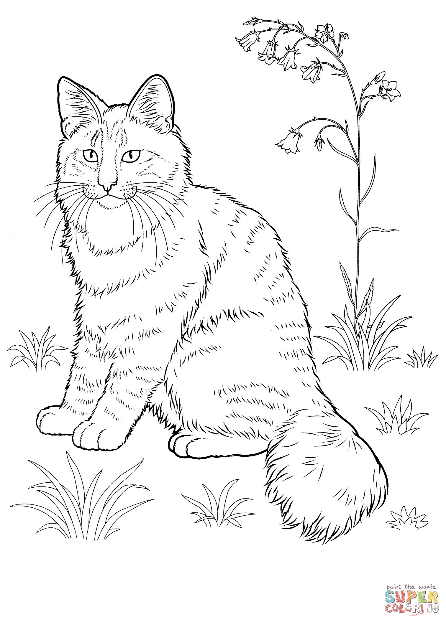 60 Printable Tabby Cat Coloring Page 3