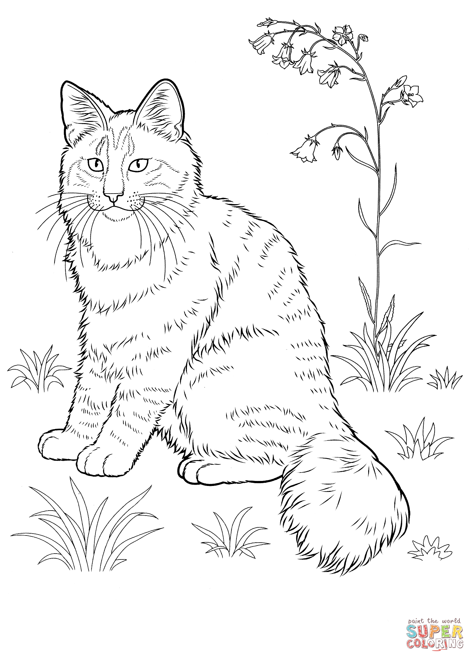 60 Printable Tabby Cat Coloring Page 5