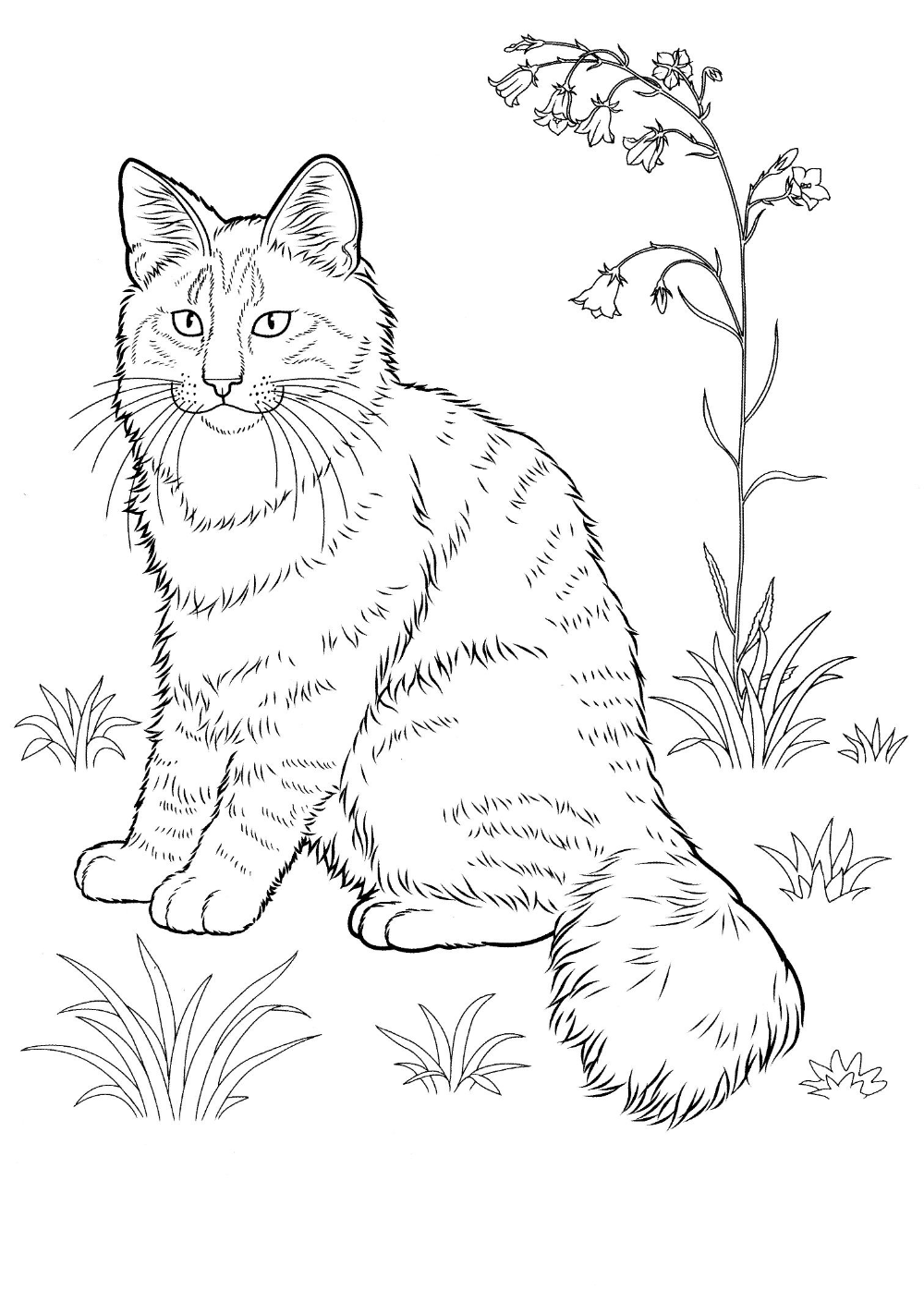 60 Printable Tabby Cat Coloring Page 50