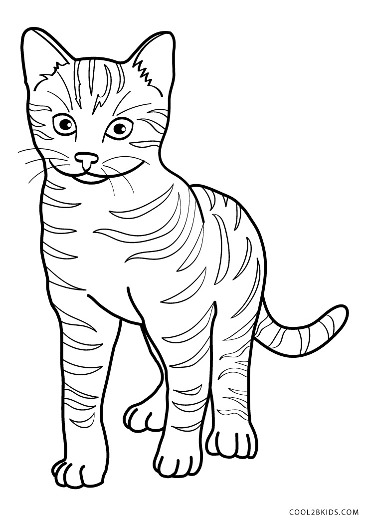 60 Printable Tabby Cat Coloring Page 52