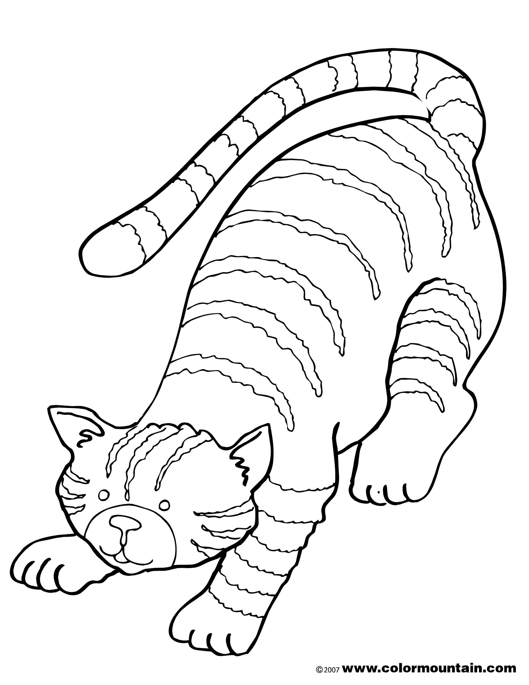 60 Printable Tabby Cat Coloring Page 6