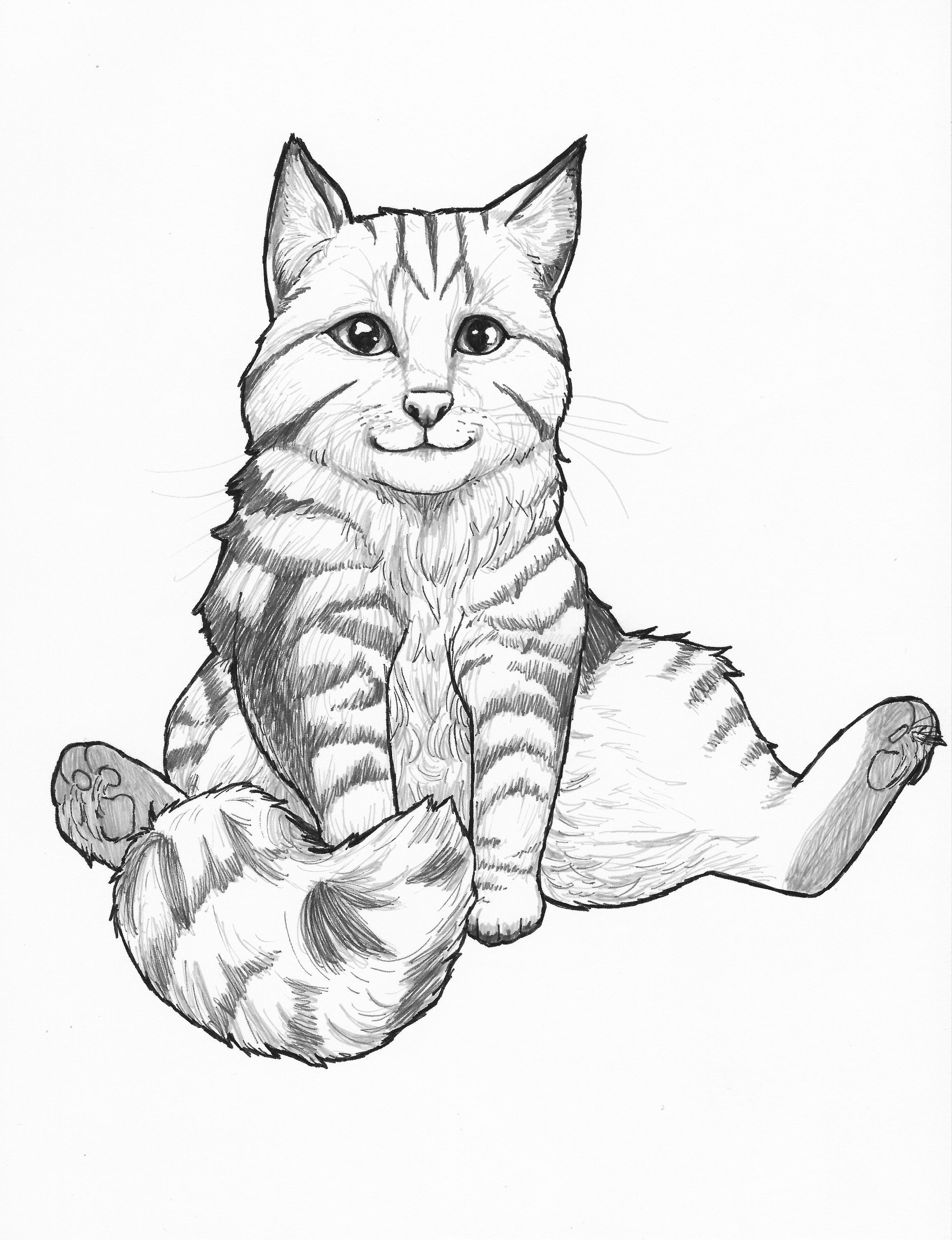 60 Printable Tabby Cat Coloring Page 9