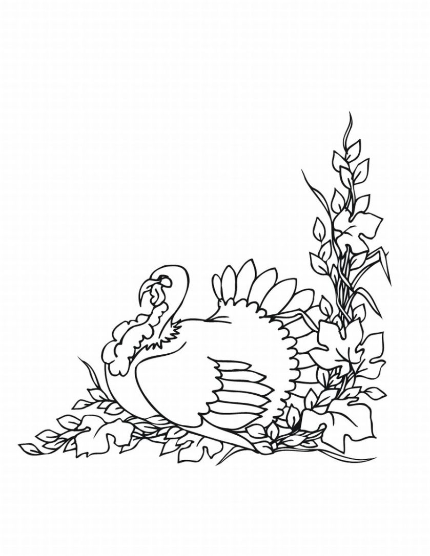 Get 85 Coloring Pages Turkey Printable Ideas 45