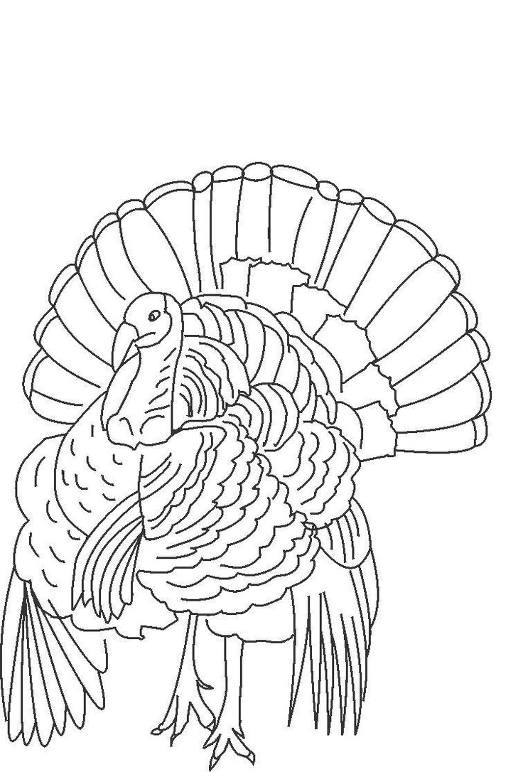 Get 85 Coloring Pages Turkey Printable Ideas 5