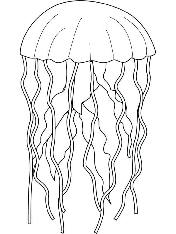 Get 85 Jellyfish Coloring Sheet Ideas 12