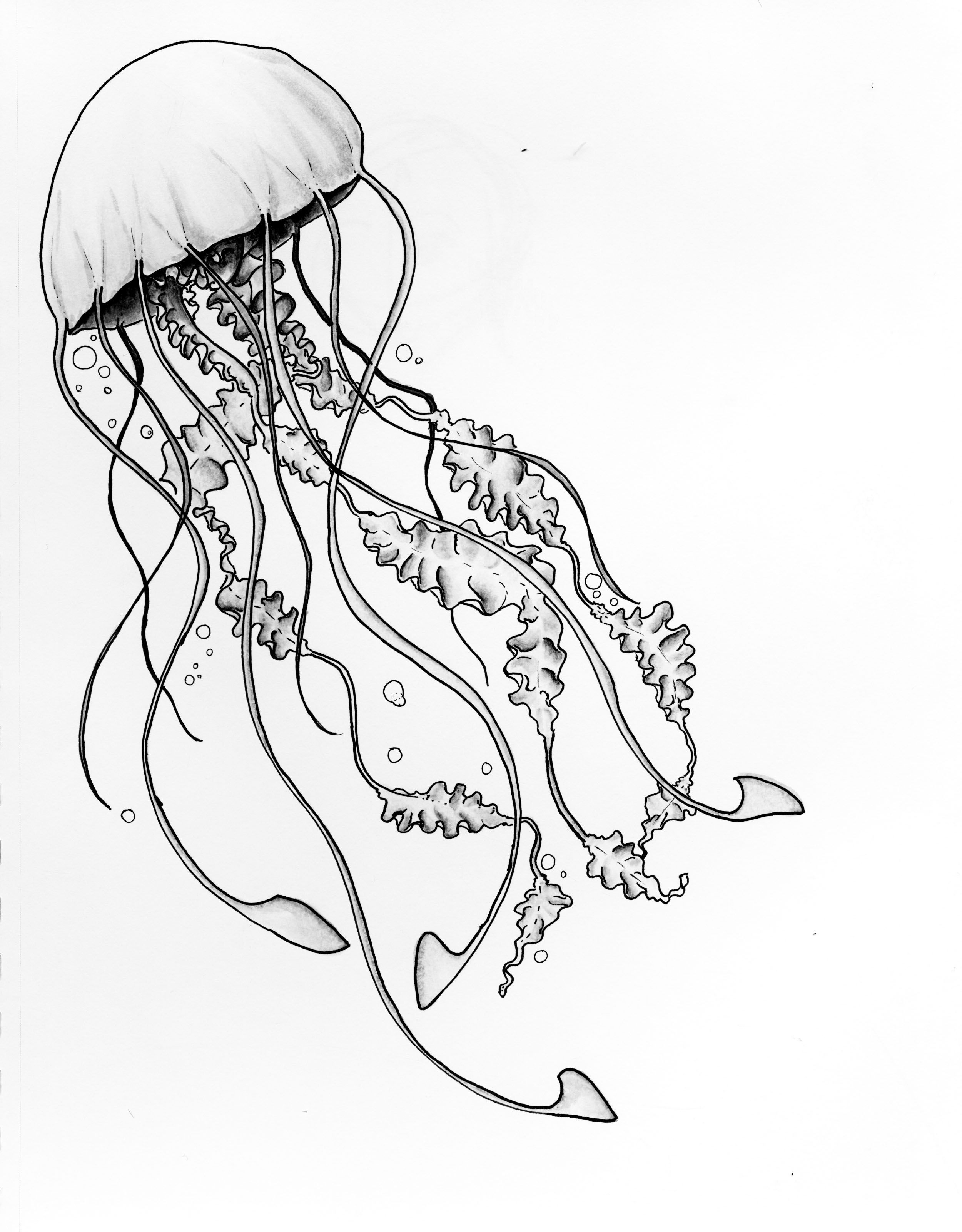 Get 85 Jellyfish Coloring Sheet Ideas 13