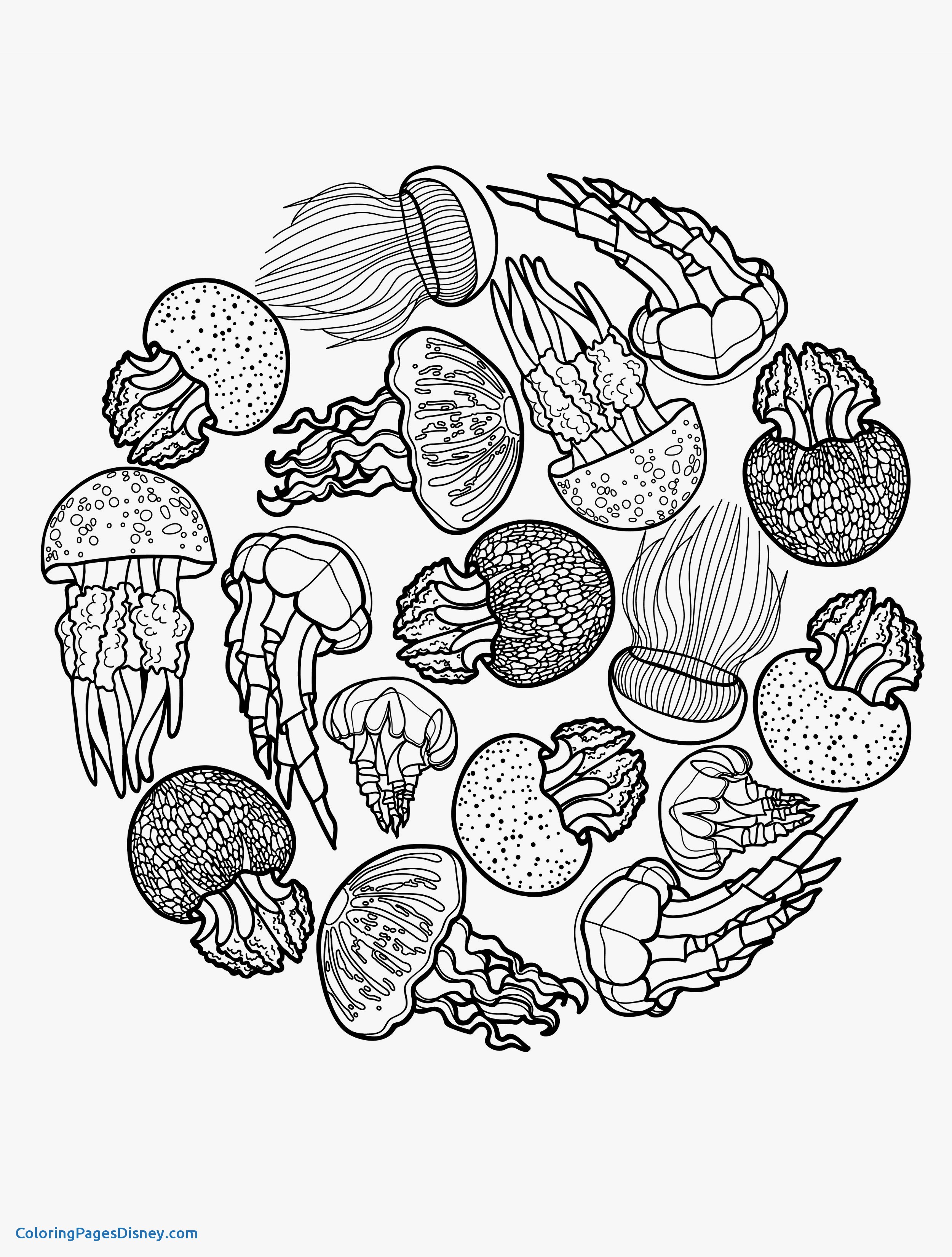 Get 85 Jellyfish Coloring Sheet Ideas 37