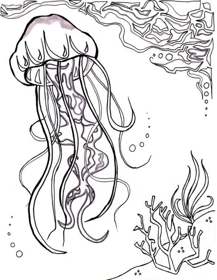 Get 85 Jellyfish Coloring Sheet Ideas 4