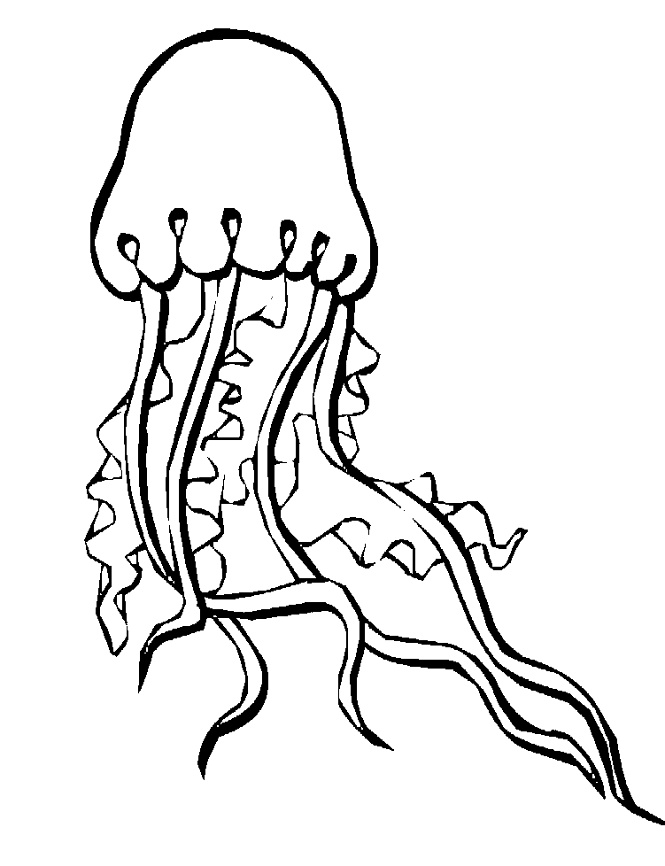 Get 85 Jellyfish Coloring Sheet Ideas 50