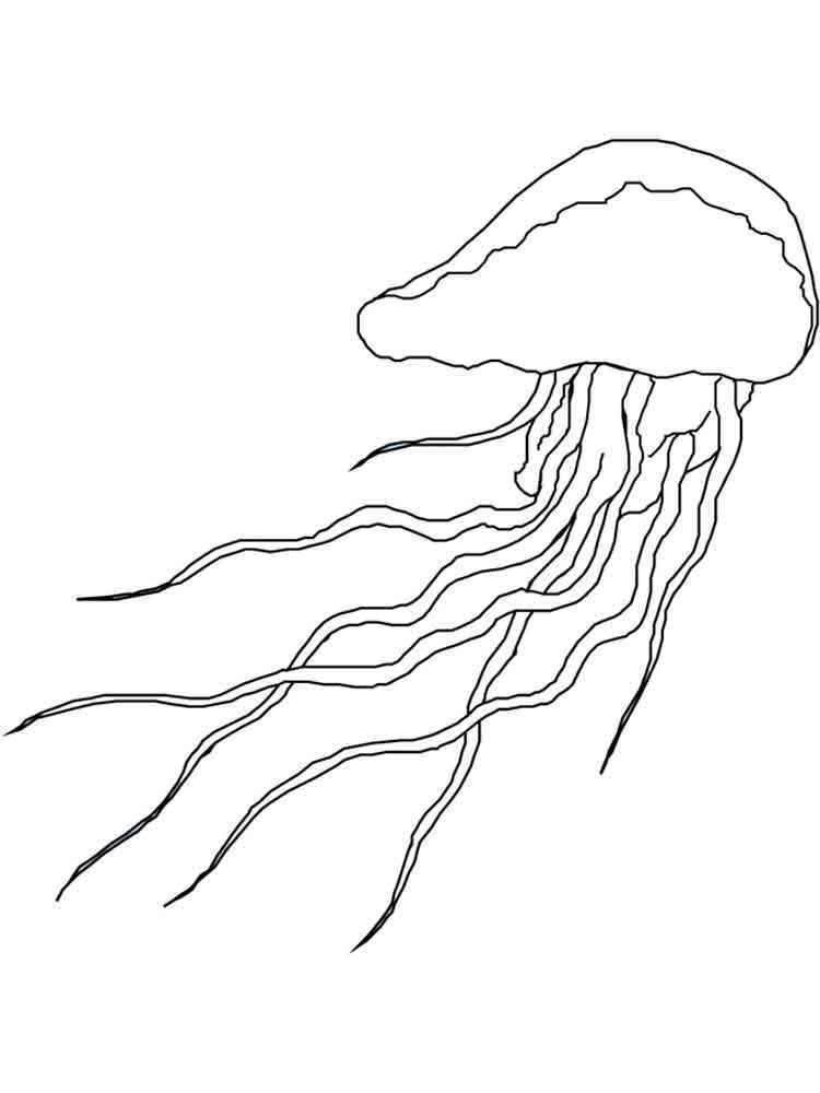 Get 85 Jellyfish Coloring Sheet Ideas 53