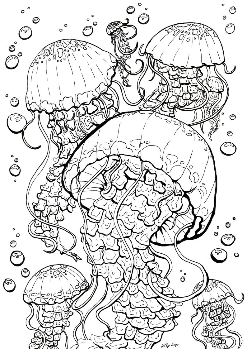 Get 85 Jellyfish Coloring Sheet Ideas 56