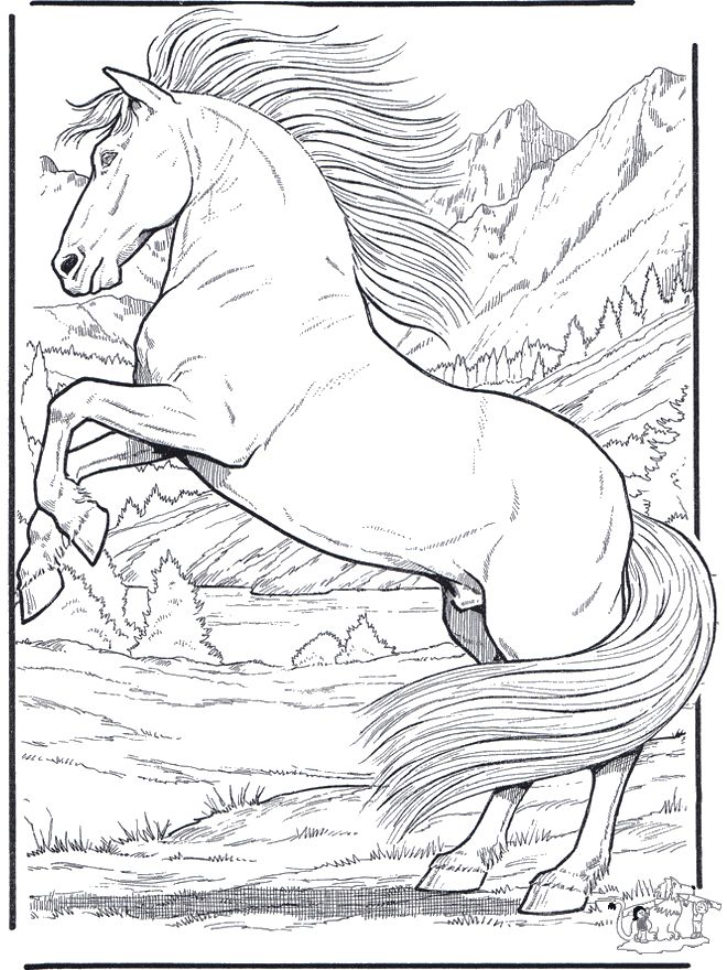 Get 85 Realistic Coloring Page Ideas 26