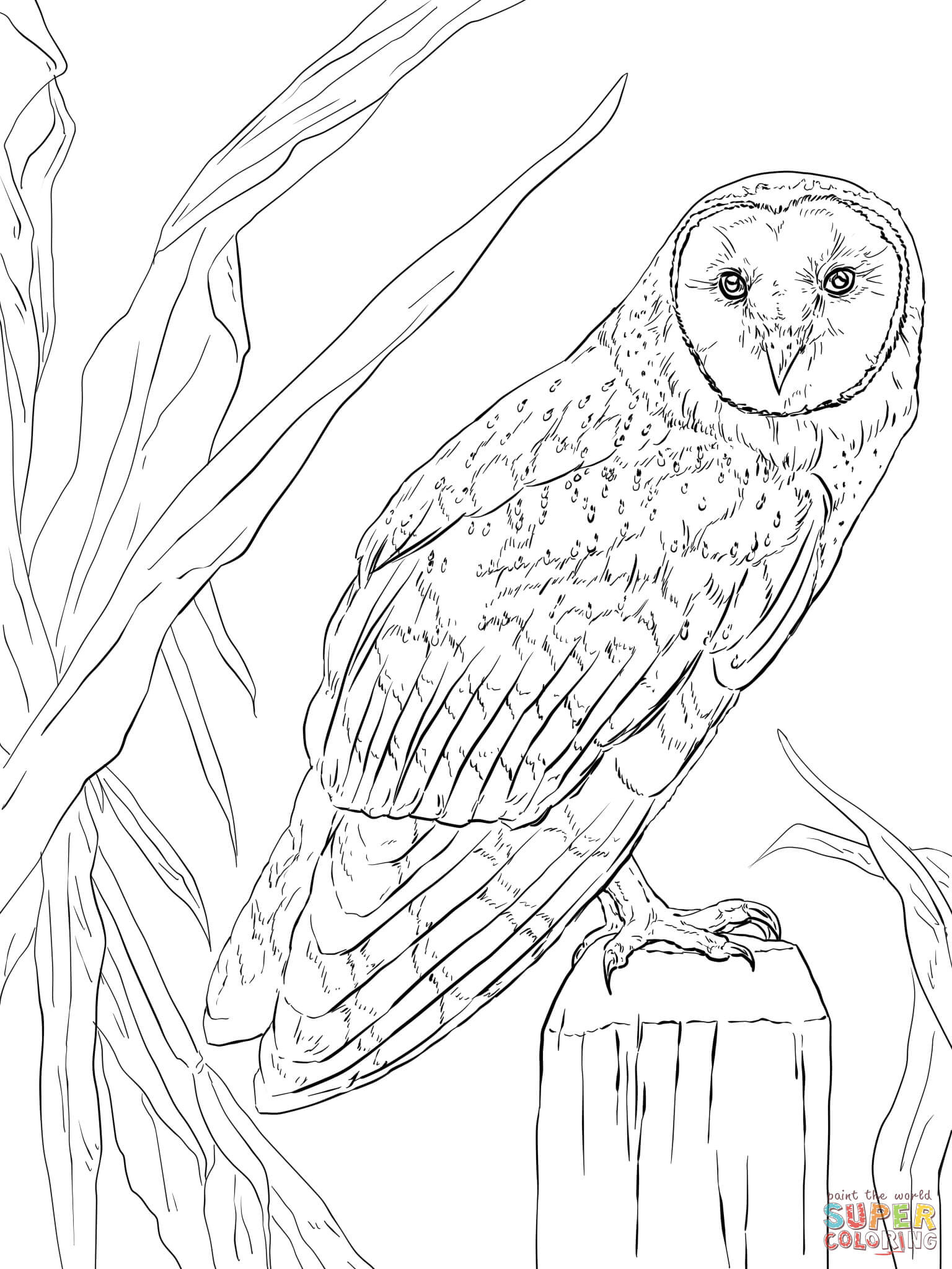 Get 85 Realistic Coloring Page Ideas 32