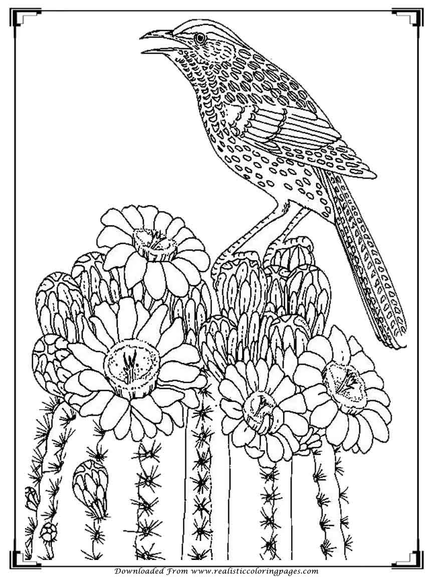 Get 85 Realistic Coloring Page Ideas 37